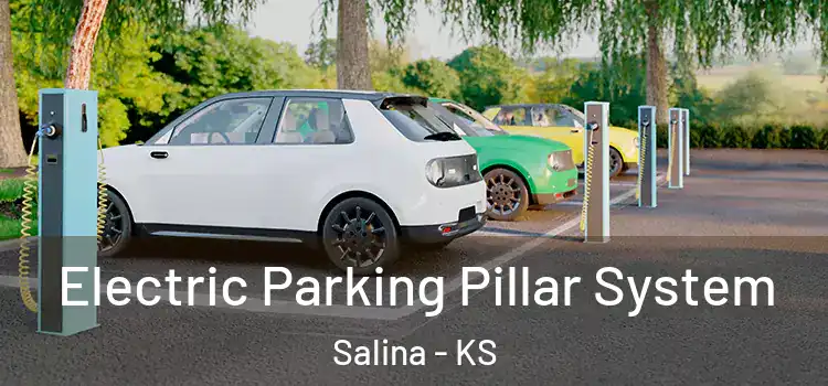 Electric Parking Pillar System Salina - KS